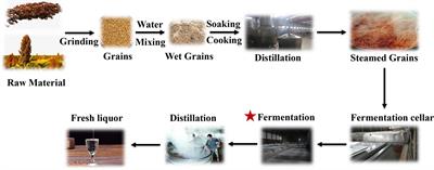 Microbial community succession patterns and drivers of Luxiang-flavor Jiupei during long fermentation